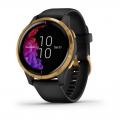   Garmin Venu Black Gold slate